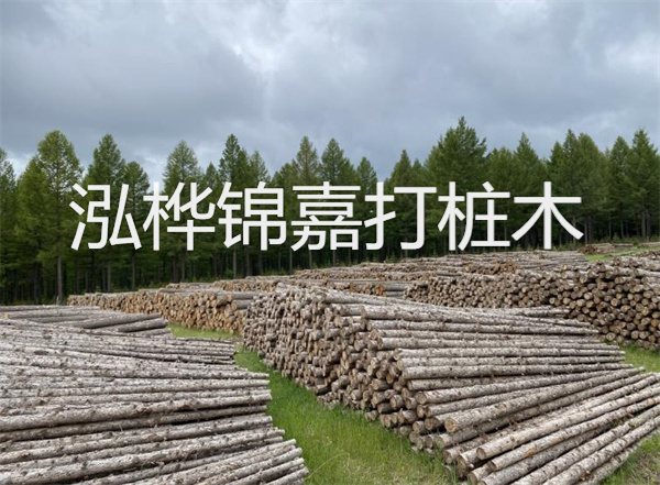 松木樁施工示意圖，了解施工過程，保證工程質(zhì)量