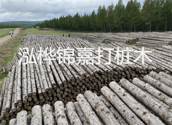 松木樁施工機(jī)械河到，輕松解決施工難題