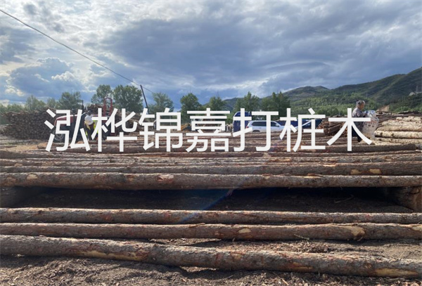 松木樁水下施工：無拖累，高效穩(wěn)固！