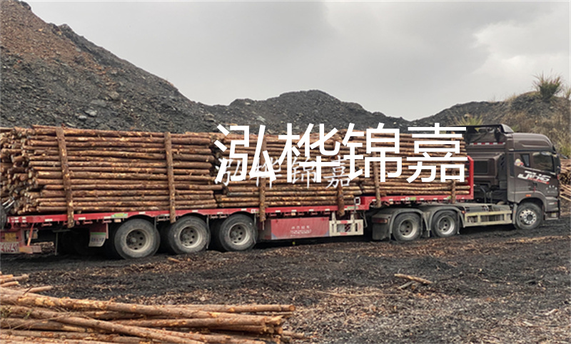 大理松木樁哪里賣？選擇合適的松木樁來保護(hù)你的建筑